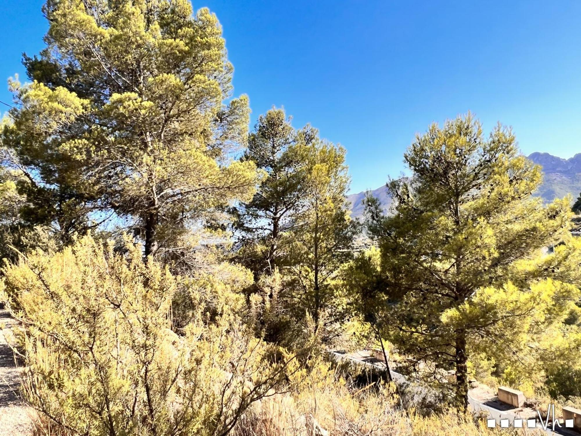 Vh Costablanca - Calima Villa Benissa Luaran gambar